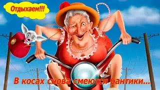 В косах снова смеются бантики...