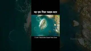An ancient behemoth that #movieexplanation #movieexplained #movie #movieexplainedinhindi #shorts