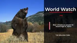Bear attacks on people hit record high in Japan