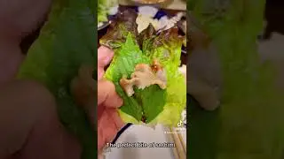 Perfect Bite of Korean Sashimi Geoduck Clam