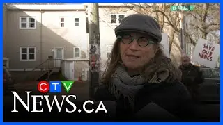 Halifax group opposes plan to tear out mature trees