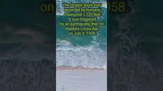 Did you know this wave fact?? comment below 👇 #waves #ocean #facts #water
