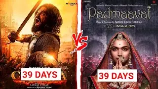 Chhaava movie day 39 collection|Chhaava business today| topalways