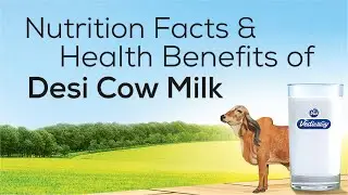 Desi Cow Milk Benefits  ||  Gir Cow Milk  ||  Nutrition Facts and Health Benefits of Cow Milk