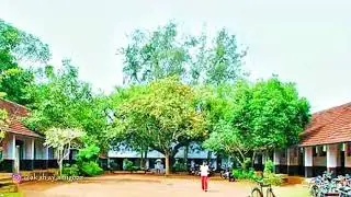 H S PAVUMBA (KARUNAGAPPALLY,KOLLAM) nostalgia .