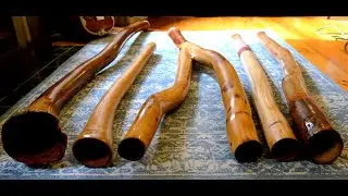Batch 10! Genuine Didgeridoos Meant for Playing