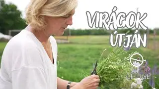 EGY GYÓGYPEDAGÓGUS, AKI KERTET ÉPÍT – Lét-Ige