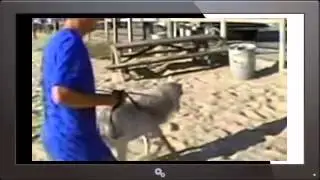 Rob & Big 1997 Season 3 Episode 3
