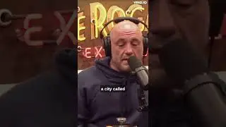 Crashed UFO Alien Encounter in Brazil - Joe Rogan