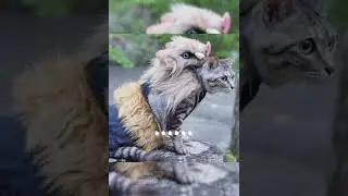 perfect cosplay&bull;~♡~&bull;