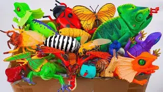 Toy asmr 🐞 ZURU Robo Alive Centipede, Scorpion, Chameleon, Insect Toys ASMR | Satisfying Unboxing