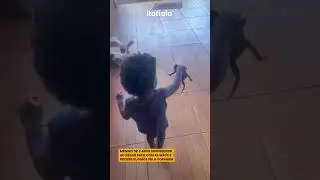 MENINO DE 2 ANOS SURPREENDE AO PEGAR SAPO COM AS M&Atilde;OS E RECEBE ELOGIOS PELA CORAGEM