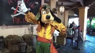 Pirate Goofy Meet & Greet During Talk Like A Pirate Week, Limited Time Magic, Walt Disney World