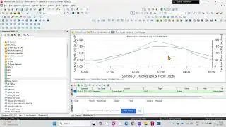 Results Review of 1D River Model _InfoWork ICM