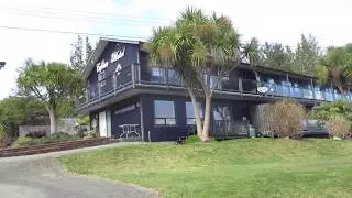 Big Cordylines & tall Palms in Tofino, B.C., Canada