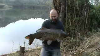 fish caught on morning of filmed run with ebrocarpfishings nick shattock