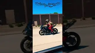 Dragon Sightings! #Dragon #BikerBabe #Baddie #2WheelLife #2Wheels #NinjaRider #BikerGirl #motobabe