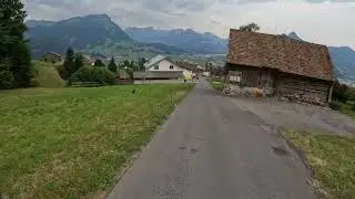Mostelegg Downhill - Cat