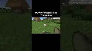 Minecraft Troll Moment