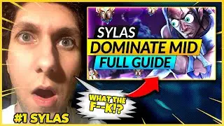#1 SYLAS REACTS TO A CHALLENGER SYLAS GUIDE! - League of Legends