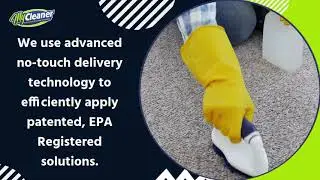 Odor Removal & Sanitizing Services in Cape Coral FL