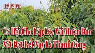 Đợt Rét Thứ Hai Này Rất Tốt Cho Lớp Vải Muộn Là Thành Công