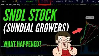 HUGE SNDL (Sundial Growers) Stock News & Update!  Are you BUYING the $SNDL?