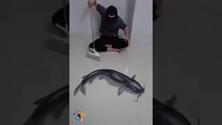 Omg amazing  drawings superb143