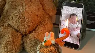 겨울이 다되어 올리는 가을지희🍂
