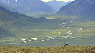The LEAST Crowded National Park&hellip; by far