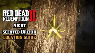Night scented Orchid - Location Guide | Red Dead Redemption 2