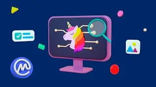 How to Spot Crypto Unicorns Early