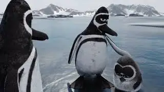 Penguin parenthood is serious business - #3danimation #cartoon