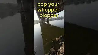 YOU Are Fishing The Whopper Plopper WRONG!