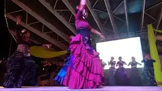 DanzaTribal de la Cuarta Regi&oacute;n, en el D&iacute;a de la Danza 2019 - Coquimbo