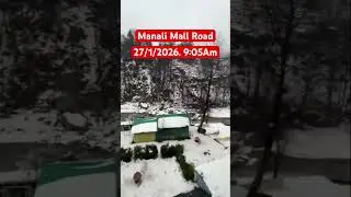 Manali Update #snow #snowfallupdate #manali #snowfall #ytshorts #travel