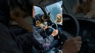 The Tunnel Warning &ndash; A Dog&rsquo;s Instinct That Stopped Disaster 🚨🐕