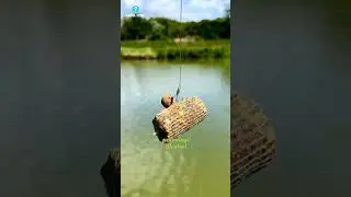 Rahasia Pemancing Profesional: PVA Mesh Bag!