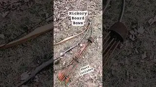 my 3 hickory board bows #archery #traditional #nature #shorts #hunting #archerylife #compoundbow
