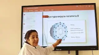 Virusli gepatitlar