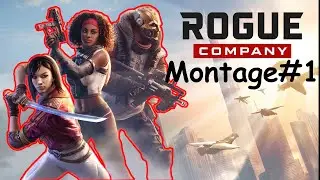 Rogue Company (Beta) Montage