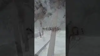 Уже больше года длится экоцид в Троицком лесу в Новой Москве #троицкийлес #троицк #троицкийлесживи