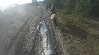 Winnie's first time hacking |GoPro ride with me| EquiFlo