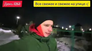 День 1263. 04.02.2026. На улице все морознее и морознее. Но пробежку никто не отменял.