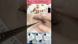 Bottom Lash Extensions - RY Lashes-China Fake Lash Factory