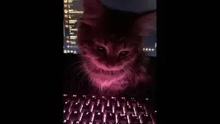 Edit audios for your badass fake scenarios ;) + TIMESTAMPS  in the description