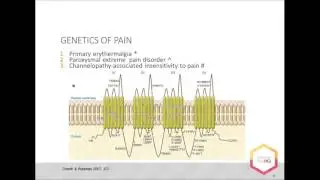 Personalized Treatment Optimization for Chronic Pain with Dr. Ruslan Dorfman