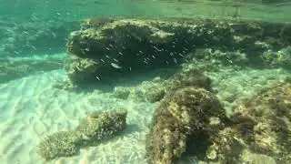 CRYSTAL CLEAR Waters of Glikadi Beach Thassos - Underwater Fish & Cave Exploration (Part 1)