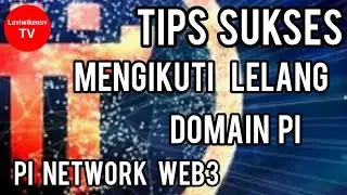 TIPS SUKSES MENGIKUTI LELANG DOMAIN PI ( PI NETWORK )