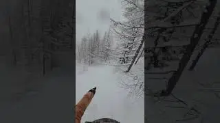 ⛷️Tree run in courmayeur with powder